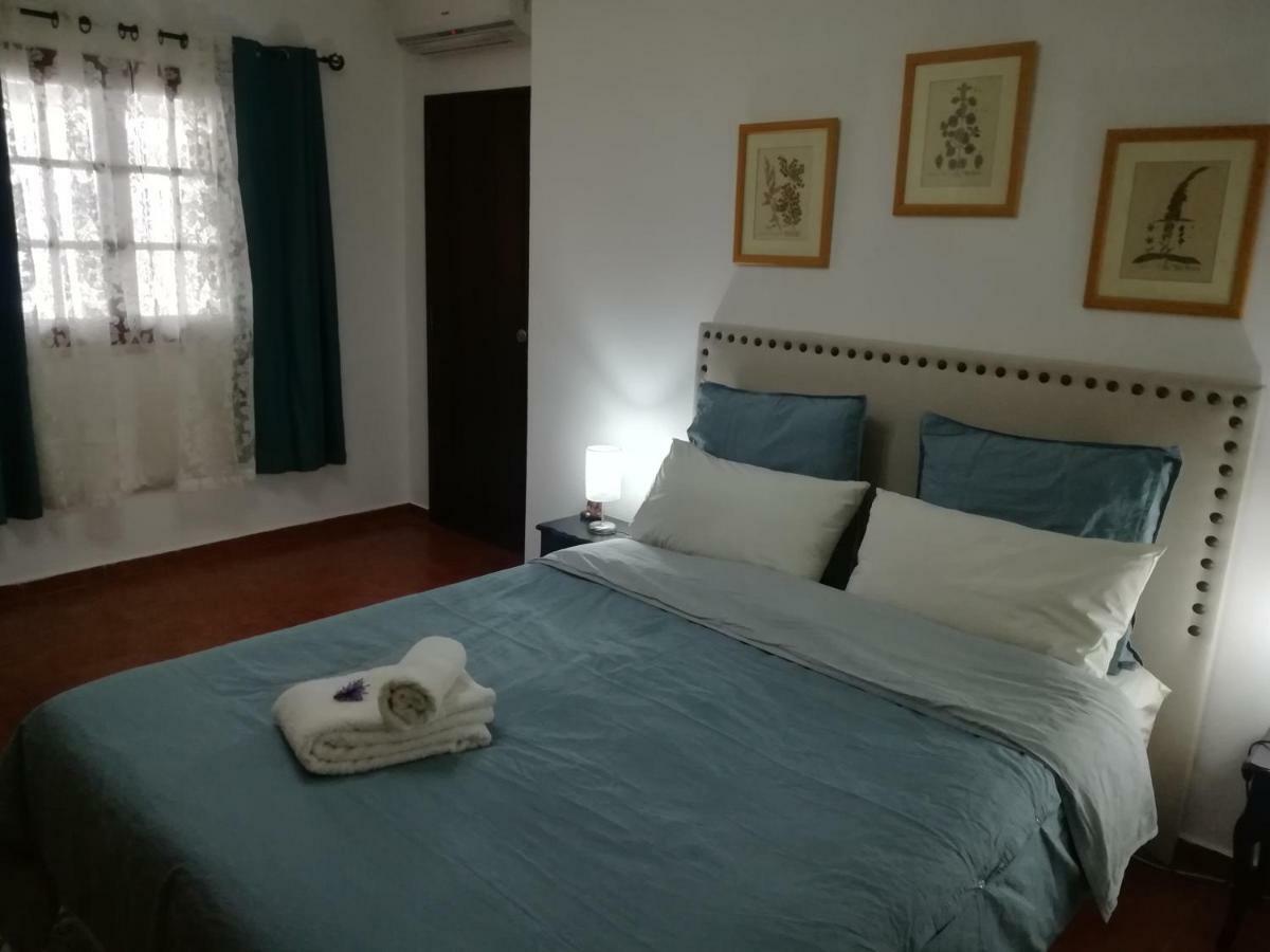 A Casa Da Avo Custodinha Villa Bias do Norte ภายนอก รูปภาพ